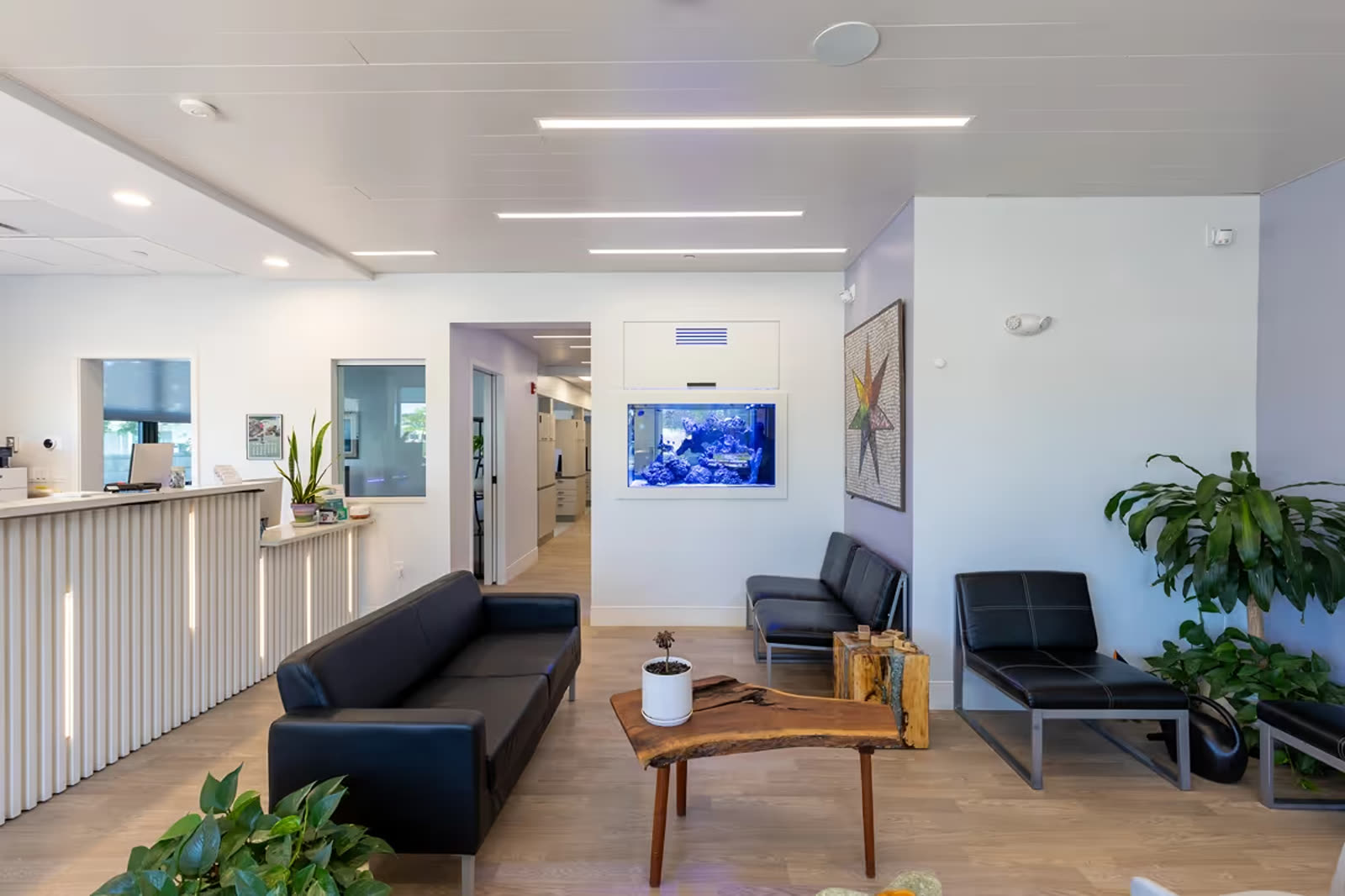Corridor connecting dental operatories