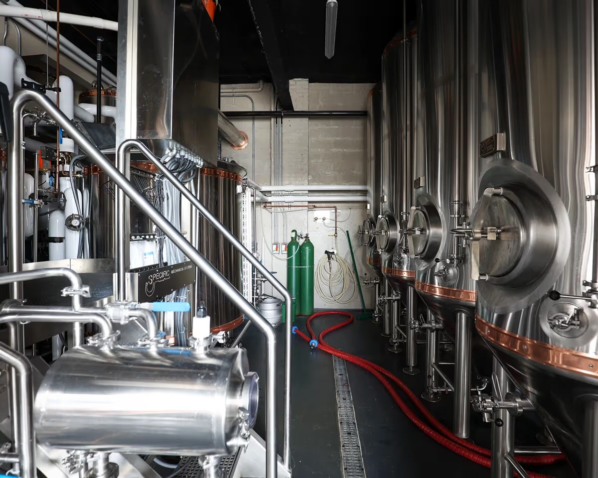 Process piping, gas and glycol lines serving the brewing equipment